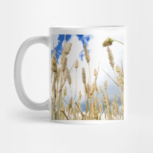 Wheat Mug